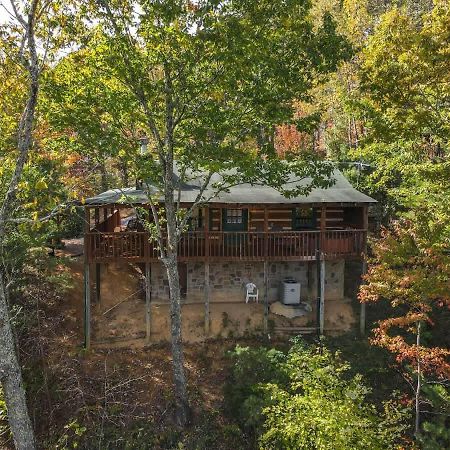View! Cozy, Private, Fireplace, Hot Tub Log Cabin, Honeymoon! 塞维尔维尔 外观 照片
