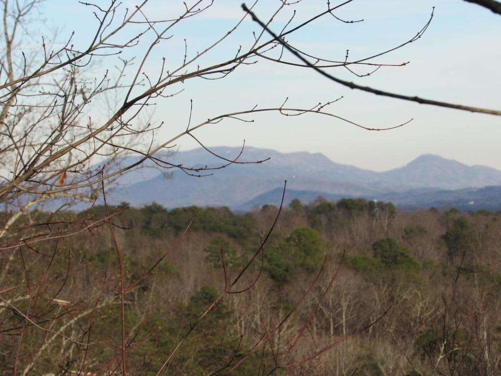 View! Cozy, Private, Fireplace, Hot Tub Log Cabin, Honeymoon! 塞维尔维尔 外观 照片